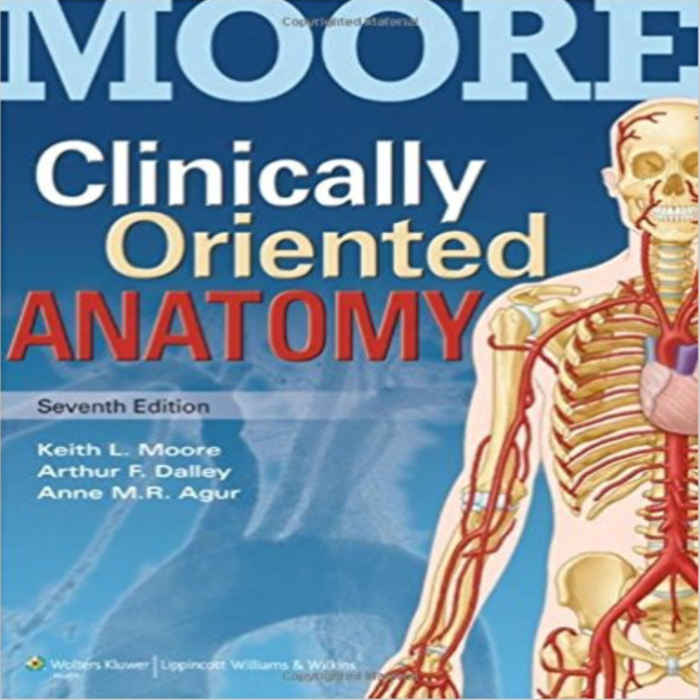 Clinically Oriented Anatomy 7th Edition By Agur Dalley – Test Bank