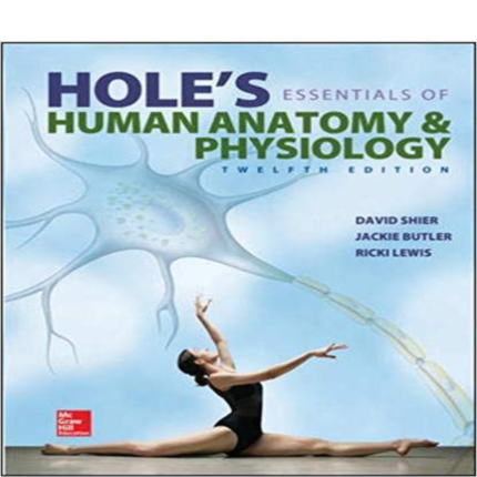 Holes Essentials Of Human Anatomy Physiology 12th Edition By David Sheir – Test Bank