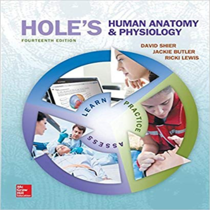 Holes Human Anatomy And Physiology 14th Edition By Shier Dr – Test Bank