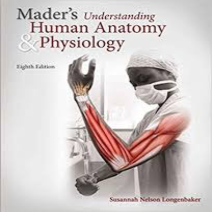 Maders Understanding Human Anatomy And Physiology 8th Edition By Susannah Longenbaker – Test Bank