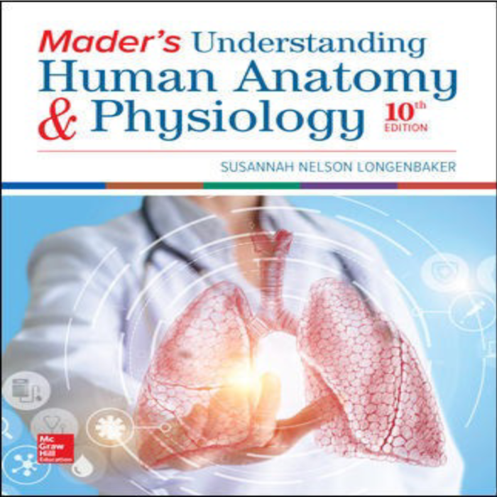 Maders Understanding Human Anatomy Physiology 10th Edition By Susannah Longenbaker – Test Bank