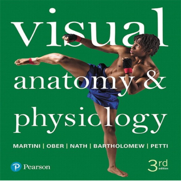 Test Bank Of Visual Anatomy Physiology 3rd Ed By Martini – Test Bank