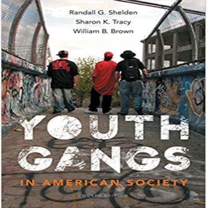 Youth Gangs In American Society 4th Edition By Randall G. Shelden – Test Bank
